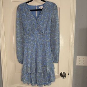 Japna Light Blue Floral Dress